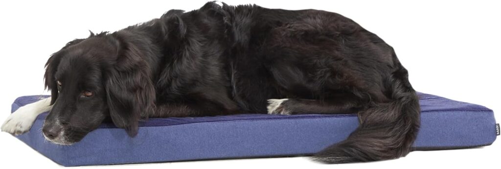 Orthopedic Dogbed