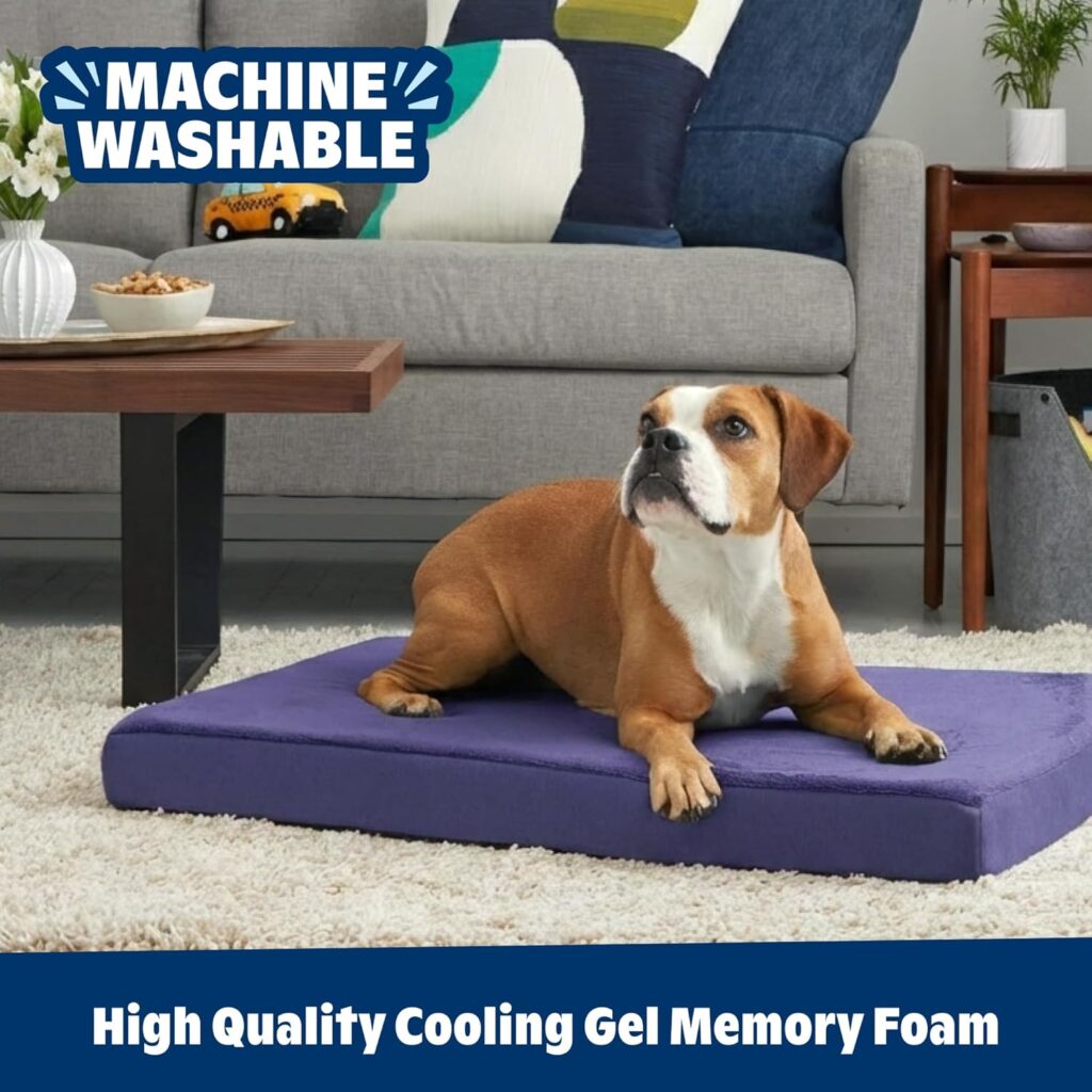 Orthopedic Dogbed