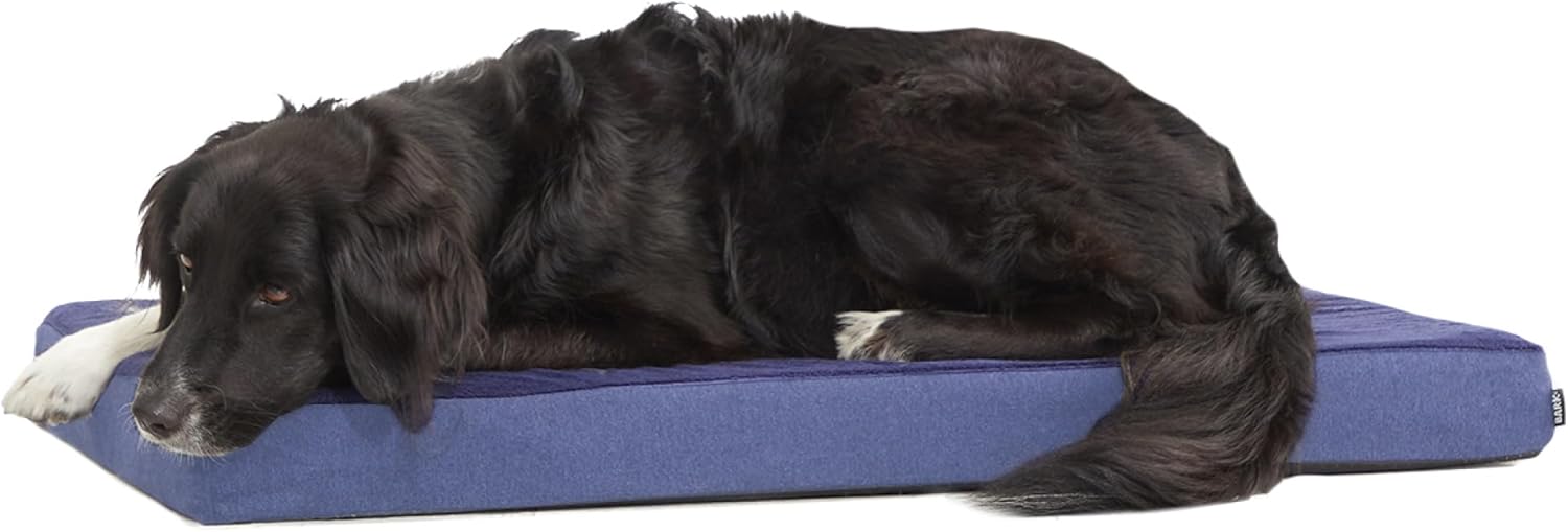 Orthopedic Dogbed