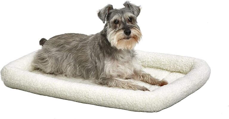 dog bed