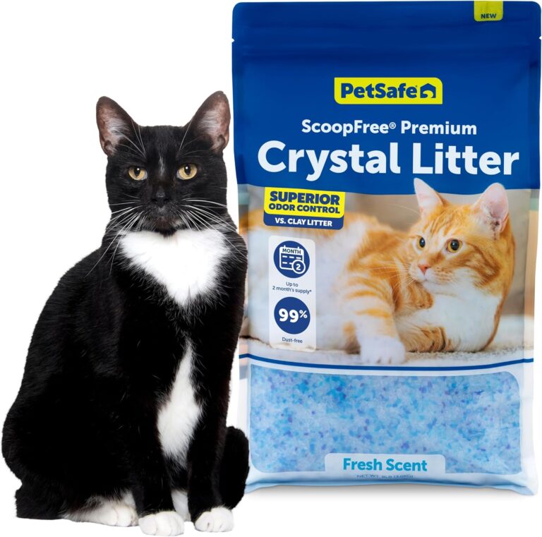 Crystal Litter: 10 Ultimate Steps For Amazing Cat Odor Control In 2026 19 81Qp33BbXL. AC SL1500 SmarterHomeCo