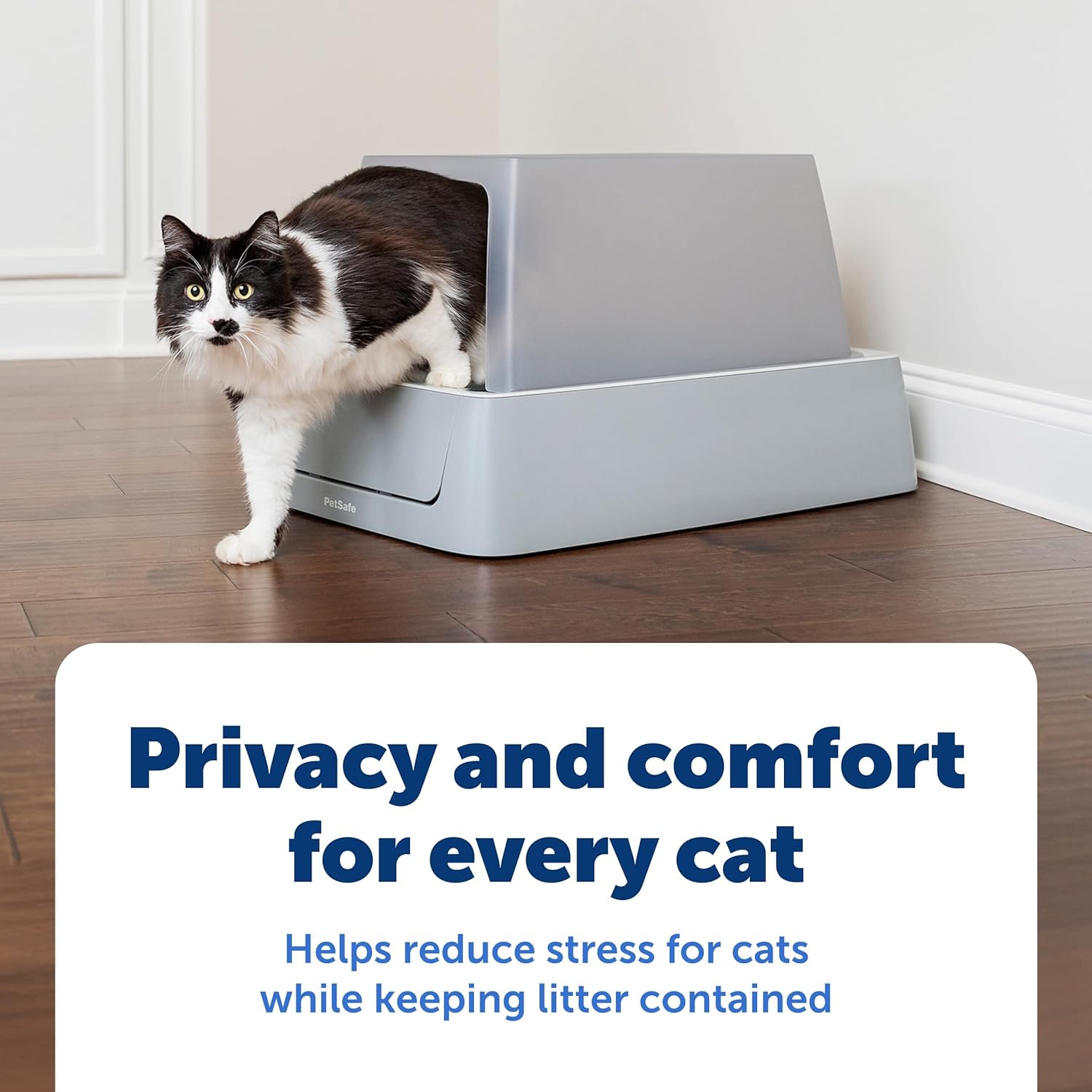 cat privacy